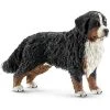 Top 10 🧨 Schleich 16397 bouvier bernois femelle ✔️ -Jouets d'animaux Soldes 4005086163973 1
