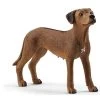Promo 😍 Schleich 13895 Chien de Rhodesie a crete dorsale 🛒 -Jouets d'animaux Soldes 4059433007229 1