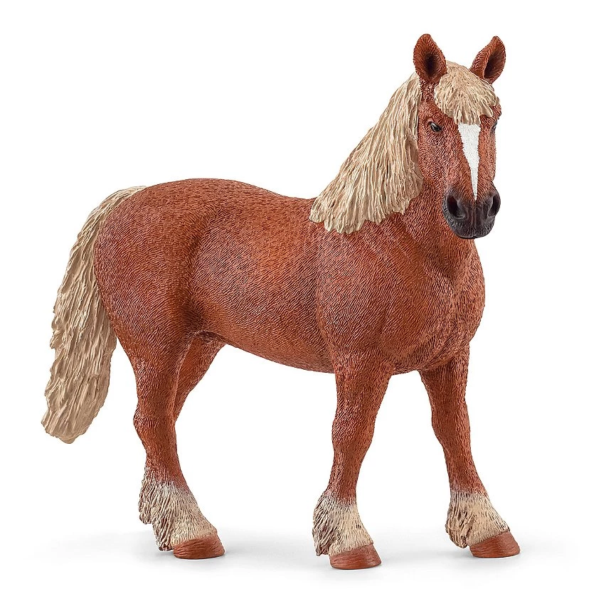 Sortie ✨ Schleich Poulinière Belge 🌟 3 Sortie ✨ Schleich Poulinière Belge 🌟